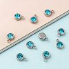 201 Stainless Steel Rhinestone Charms STAS-S068-12-3