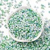 Baking Paint Glass Seed Beads SEED-C003-01B-2