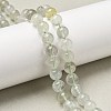 Natural Green Beryl Beads Strands G-F787-01-8mm-1