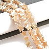 Star Natural White Shell Beads Strands BSHE-Q025-14B-2