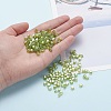 6/0 Glass Seed Beads SEED-YW0001-25H-7