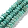 Natural Amazonite Beads Strands G-D091-A20-1