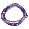 Natural Amethyst Beads Strands G-M096-B01-01-6