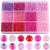 156g 12 Style Glass Seed Beads SEED-SC0001-32B-06-1