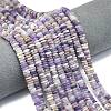 Frosted Natural Amethyst Beads Strands G-K389-C25-01-1