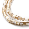Natural Freshwater Shell Beads Strands X-SHEL-R129-05-3
