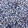 Glass Seed Beads SEED-S042-04B-22-3