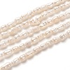 Natural Cultured Freshwater Pearl Beads Strands X-PEAR-J005-56-01-1
