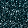 MIYUKI Round Rocailles Beads SEED-G007-RR2406-3