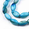 Natural Freshwater Shell Beads Strands SHEL-N026-212-B02-3