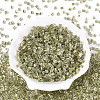 Transparent Inside Colours Glass Seed Beads SEED-T007-13O-1
