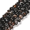 Natural Black Agate Beads Strands G-L595-B02-01-1