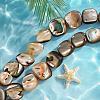 1 Strand Natural Paua Shell Beads Strands BSHE-PA0001-07-4