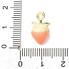 Alloy Enamel Pendants AL-CBA24A7-01G-10-3