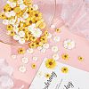 110Pcs 6 Style Flatback Hair & Costume Accessories Ornaments Scrapbook Embellishments Resin Flower Daisy Cabochons CRES-FH0001-08-4