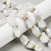 Electroplated Natural Druzy Agate Beads Strands G-G289-02B-1