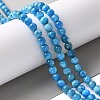 Natural Apatite Beads Strands G-I254-08H-5