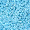 Glass Seed Beads SEED-A011-3mm-143-3