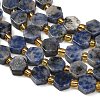 Natural Blue Spot Jasper Beads Strands G-F833-B16-01-3