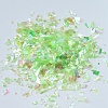 Plastic Candy Sequins/Paillette Chip DIY-I019-01H-2