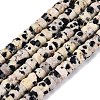 Natural Dalmatian Jasper Beads Strands G-Q606-46A-01-2