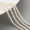 Natural Cultured Freshwater Pearl Beads Strands PEAR-C003-04B-2