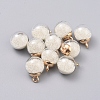 Transparent Glass Globe Pendants LS-GLAA-TAC0002-K01-1