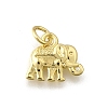 Brass Pendants KK-F899-10G-1