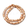 Electroplate Glass Beads Strands GLAA-D013-06C-2