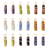 SUPERFINDINGS 18Pcs 9 Styles Natural Gemstone Pendants FIND-FH0006-44-1