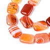 Natural Agate Beads Strands G-N356-03A-17-4
