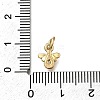 Brass Micro Pave Clear Cubic Zirconia Pendants ZIRC-I070-034G-3