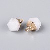 Natural Quartz Crystal Pendants G-N359-18G-16-2