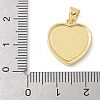 Brass Micro Pave Cubic Zirconia Pendants KK-K298-31G-3