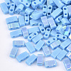 Electroplate Opaque Glass Seed Beads SEED-S023-18B-03A-1