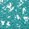 Baking Paint Glass Seed Beads X-SEED-S042-05B-57-3