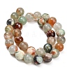 Natural Fire Crackle Agate(Dyed & Heated) Beads Strands G-K425-A03-12mm-5