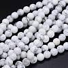 Round Natural Howlite Bead Strands LS-G-F222-14-8mm-1