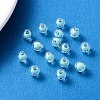 Transparent Acrylic Beads TACR-S135-002B-2