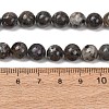Natural Fluorescent Syenite Rock(Glow under UV Light) Beads Strands GG-NH0012-A01-8mm-4