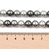 Baking Painted Pearlized Glass Pearl Round Bead Strands PEAR-H019-02C-05-2