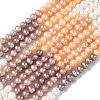 Natural Cultured Freshwater Pearl Beads Strands PEAR-C004-10-2