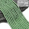 Eco-Friendly Dyed Glass Pearl Round Beads Strands HY-A002-4mm-RB008N-4