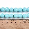 Synthetic Turquoise Beads Strands G-A255-A04-03B-5