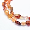 Natural Carnelian Beads Strands LS-G-G765-52-3