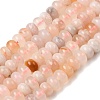 Natural Cherry Blossom Agate Beads Strands G-A280-A19-01-2