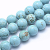 Natural Magnesite Beads Strands TURQ-G148-07-12mm-1