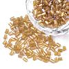 11/0 Two Cut Glass Seed Beads CSDB162B-1