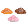 Opaque Resin Imitation Food Cabochons CRES-D329-03-1