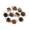 Natural Tiger Eye Pendants G-N359-18G-03-1